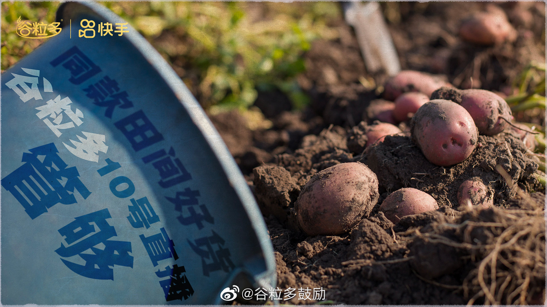 米乐m6官网登录入口官网