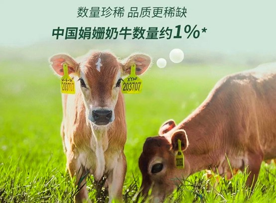 米乐m6官网登录入口官网
