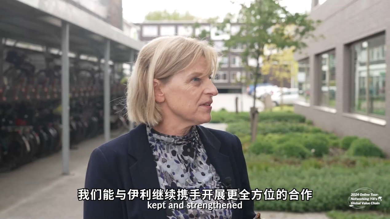 Yili’s 2024 Online Tour： Get a Behind-the-Scenes Look at Dairy Innovation in the Netherlands - Yili
